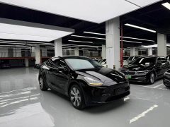 Tesla Model Y Facelift Long Range All-Wheel Drive - ფოტო 3