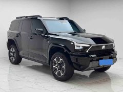 Dongfeng Mengshi M817 Max - ფოტო 3