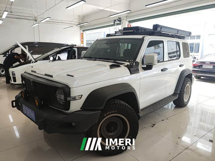 Tank 300 Off-Road Edition 2.0T Conqueror - ავტომობილი ჩინეთიდან