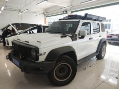 Tank 300 Off-Road Edition 2.0T Conqueror - ფოტო 1