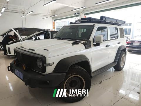 2023 Tank 300 Off-Road Edition 2.0T Conqueror - ავტომობილი ჩინეთიდან