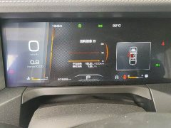 Tank 300 Off-Road Edition 2.0T Conqueror - ფოტო 6