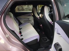 BYD Dolphin Glory Edition 420km Fashion Version - ფოტო 11