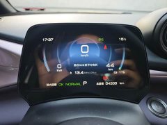 BYD Dolphin Glory Edition 420km Fashion Version - ფოტო 13