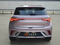 BYD Dolphin Glory Edition 420km Fashion Version - ფოტო 15