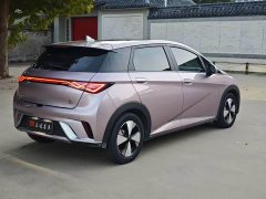 BYD Dolphin Glory Edition 420km Fashion Version - ფოტო 17