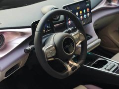 BYD Dolphin Glory Edition 420km Fashion Version - ფოტო 4
