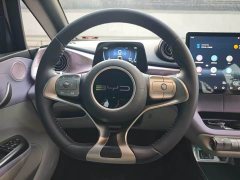 BYD Dolphin Glory Edition 420km Fashion Version - ფოტო 6