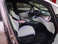 BYD Dolphin Glory Edition 420km Fashion Version - ფოტო 8