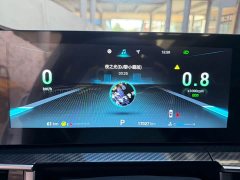 Chery Tiggo 7 Plus Champion Edition 1.5T GDI DCT Luxury - ფოტო 12