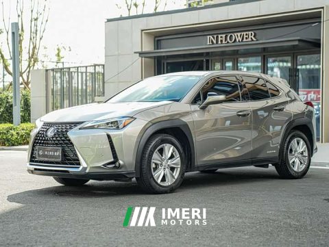 2022 Lexus UX 260h Exploration & Interest Edition - car from China