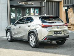 Lexus UX 260h Exploration & Interest Edition - фото 6