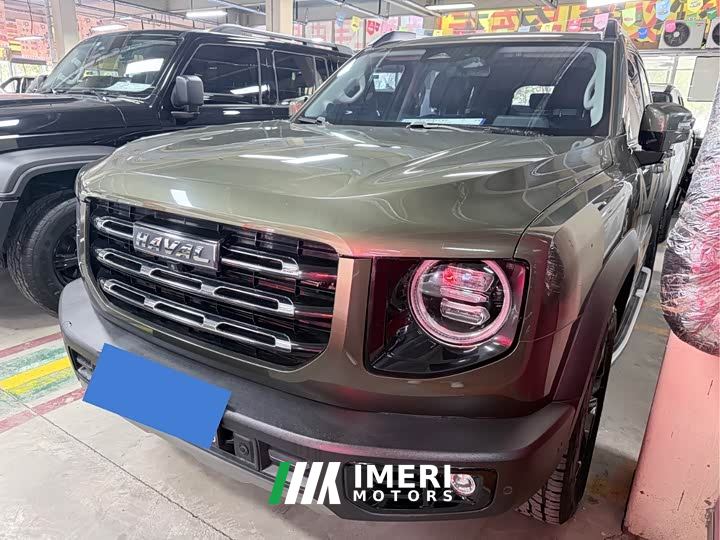 Great Wall Dachshund Facelift 2.0T DCT Four-wheel Drive Xiaotian Dog Edition