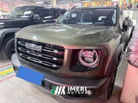 2023 Great Wall Dachshund Facelift 2.0T DCT Four-wheel Drive Xiaotian Dog Edition - ავტომობილი ჩინეთიდან