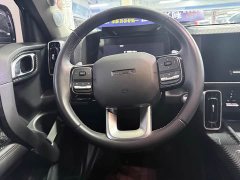 Great Wall Dachshund Facelift 2.0T DCT Four-wheel Drive Xiaotian Dog Edition - ფოტო 13