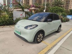 Wuling Binguo 333km Joy Edition - ფოტო 1