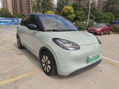 Wuling Binguo 333km Joy Edition - ფოტო 2