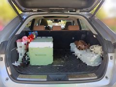 Toyota Wei Sa 2.0L CVT 4WD Supreme Edition - ფოტო 20