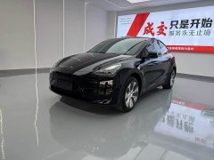 Tesla Model Y Rear-Wheel Drive - ფოტო 1