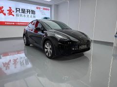 Tesla Model Y Rear-Wheel Drive - ფოტო 3