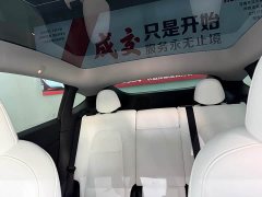 Tesla Model Y Rear-Wheel Drive - ფოტო 9