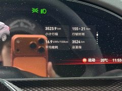 Zeekr 7X 75kWh Rear-Wheel Drive MAX - ფოტო 11