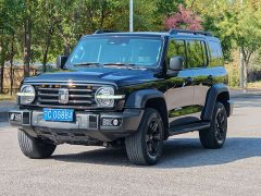 Tank 300 Off-Road Edition 2.0T Conqueror - photo 1
