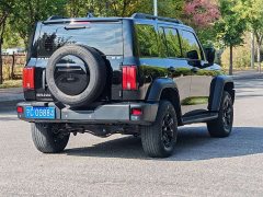 Tank 300 Off-Road Edition 2.0T Conqueror - photo 11