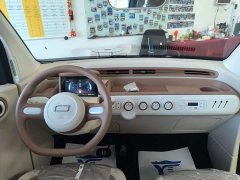 FAW Besturn Xiaoma 222km Colorful Edition - photo 10