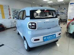 FAW Besturn Xiaoma 222km Colorful Edition - photo 4