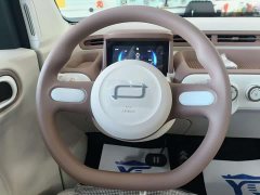 FAW Besturn Xiaoma 222km Colorful Edition - photo 8