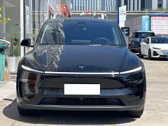 Tesla Model Y Long Range All-Wheel Drive - ფოტო 2