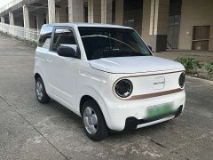 Geely Panda Mini 200km Endurance Edition - ფოტო 3
