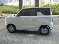 Geely Panda Mini 200km Endurance Edition - ფოტო 7
