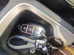 Nissan Tuouda 2.5L XL Upper 4WD Automatic Four-Wheel Drive Luxury Edition - ფოტო 9