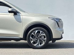 Haval Xiaolong MAX 1.5L Hi4 105 AWD Smart Flagship Edition - ფოტო 6