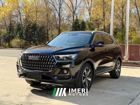 2023 Haval H6 National Trend Edition 1.5T Automatic Champion Version - ავტომობილი ჩინეთიდან
