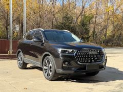 Haval H6 National Trend Edition 1.5T Automatic Champion Version - ფოტო 3