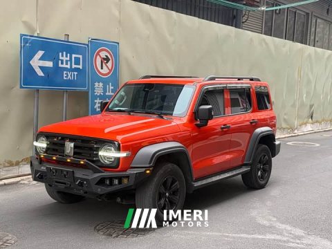 2021 Tank 300 Off-Road Edition 2.0T Conqueror - ავტომობილი ჩინეთიდან