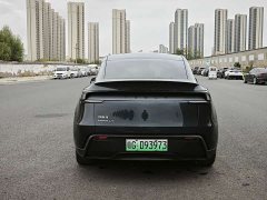 Tesla Model Y Rear-Wheel Drive - ფოტო 8