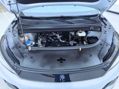 BYD Yuan Plus Glory Edition 430KM Leading - ფოტო 10