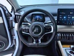 BYD Yuan Plus Glory Edition 430KM Leading - ფოტო 15