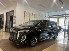 FAW Red Flag HQ9 PHEV 2.0T AWD Business Edition - ფოტო 1