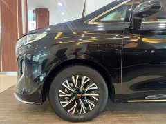 FAW Red Flag HQ9 PHEV 2.0T AWD Business Edition - ფოტო 3