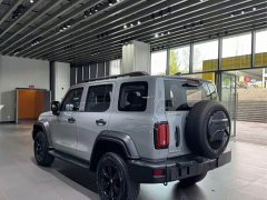Tank 300 Off-Road Edition 2.0T Conqueror - ფოტო 3
