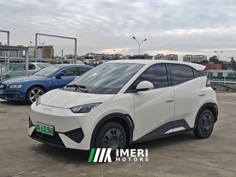 2025 BYD Seagull Smart Drive 305km Vitality Edition - ავტომობილი ჩინეთიდან