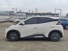 BYD Seagull Smart Drive 305km Vitality Edition - ფოტო 7