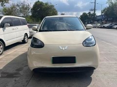 Wuling Binguo 333km Joy Edition - ფოტო 2