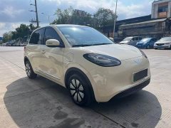 Wuling Binguo 333km Joy Edition - ფოტო 3