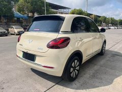 Wuling Binguo 333km Joy Edition - ფოტო 9